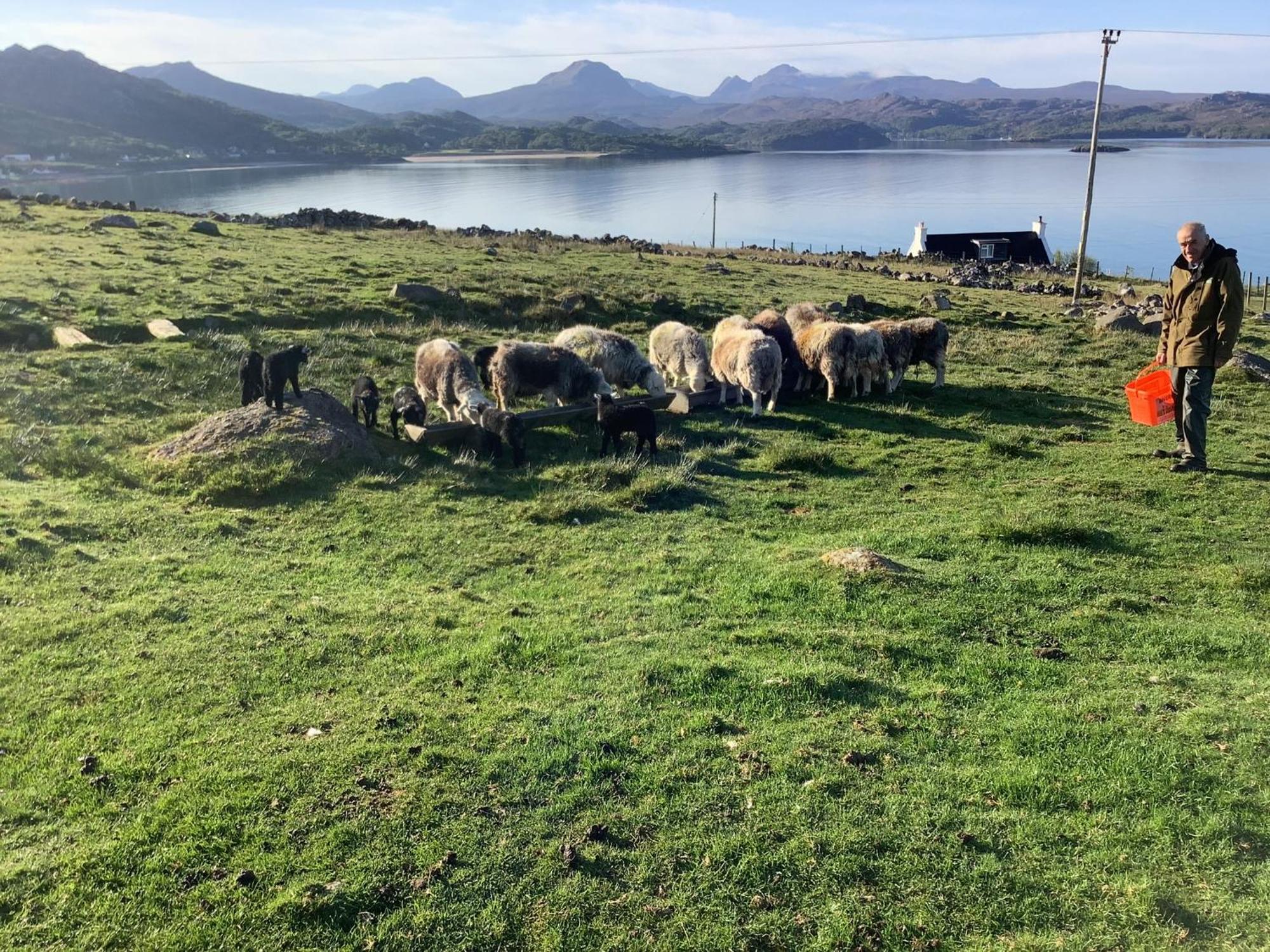 Macrae Croft- Rooms Gairloch Zewnętrze zdjęcie